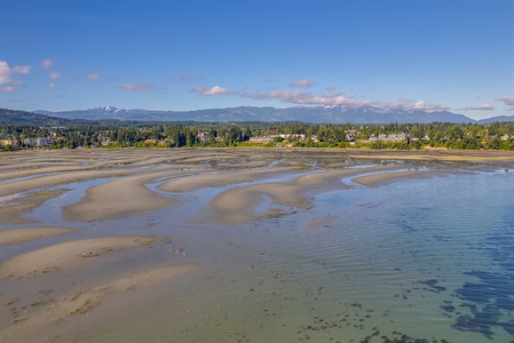 Top 5 graphics overlaid on a beach setting