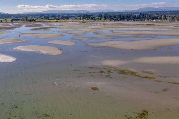 Low tide along the properties coastline, early morning sunrise. mountain range in the background.