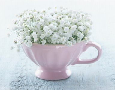 Topazz Jazz Trio performing at Knox United Church