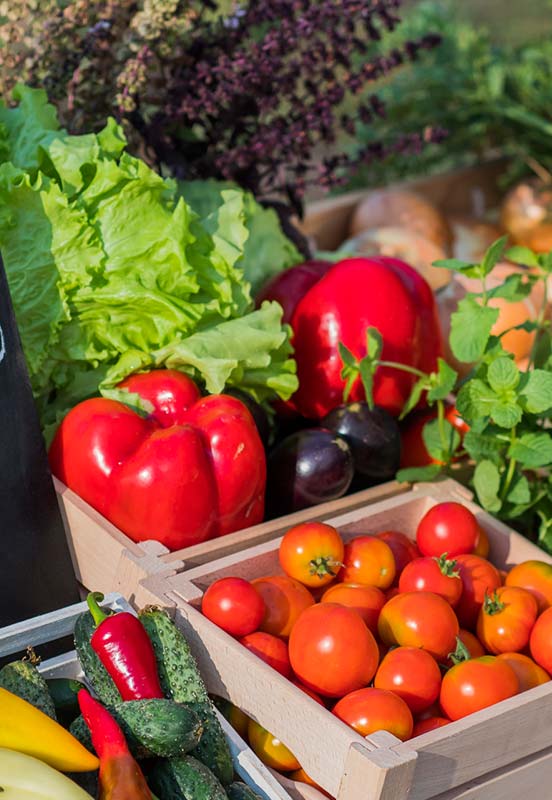 Local & Sustainable Sourcing
